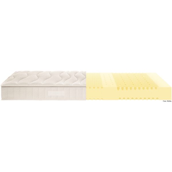 selecta-s5-kaltschaum-matratze-mit-pflanzenolen-1.jpg